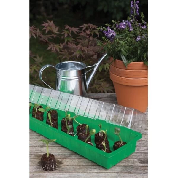 Kweekkas Met 20 Kokos Tabletten - 54 × 15 × 12 Cm 2 Kweekkas Met 20 Kokos Tabletten - 54 × 15 × 12 Cm - Afbeelding 2