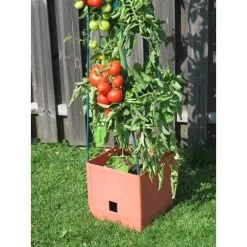 Plantentoren Maxitom Met Waterreservoir - Terracotta 8 Plantentoren Maxitom Met Waterreservoir - Terracotta -Perfecte Tuin 1677510667 3 600