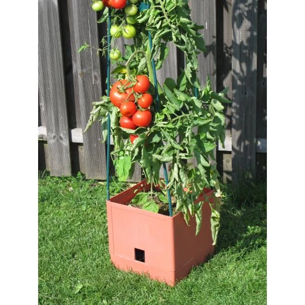 Plantentoren Maxitom Met Waterreservoir - Terracotta 3 Plantentoren Maxitom Met Waterreservoir - Terracotta - Afbeelding 3