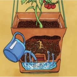 Plantentoren Maxitom Met Waterreservoir - Terracotta 9 Plantentoren Maxitom Met Waterreservoir - Terracotta -Perfecte Tuin 1677510668 5 600