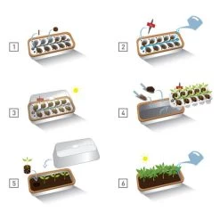 Binnenkas BoQube Plus Romberg - 41 × 17 × 23 Cm -Perfecte Tuin binnenkas boqube 41 x 17 x 23 cm 1656509792 5 600