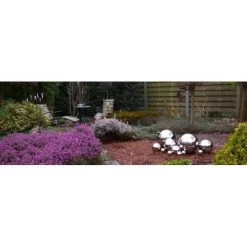 Heksenbollen Inox - Set Van 3 Stuks -Perfecte Tuin heksenbollen inox 1484053750 5 600