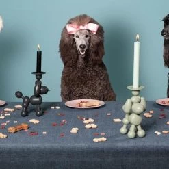 Kandelaar Fatboy® Can-Dolly - Design Antraciet -Perfecte Tuin kandelaar fatboy candolly antraciet 1622464523 2 600