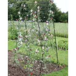 Klimframe Erwten En Bonen - 120 × 80 × 200 Cm