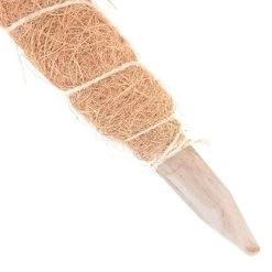 Kokos Kamerplantensteun - Plantstok Ø45 Mm × 1 M -Perfecte Tuin kokos plantensteun 45 mm x 1 m 1622717806 4 600