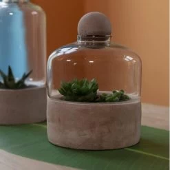 ESSCHERT DESIGN Kweekstolp Glas Op Betonbasis -Perfecte Tuin kweekstolp glas op betonbasis 1628768694 1 600