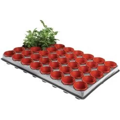 Tray Met 40 Kweekpotjes 6 Cm -Perfecte Tuin kweektray 40 potjes 6 cm 1599819541 1 600