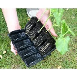Kweektray Deep Roots - 32 Cellen -Perfecte Tuin kweektray deep roots 32 cellen 1521400145 1 600