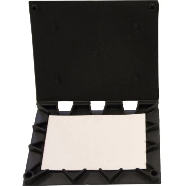 Pissebeddendoosje Met Lijmvel 1 Pissebeddendoosje Met Lijmvel