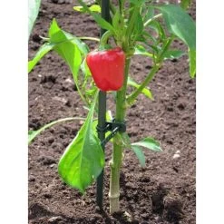 Plantenbinder - Rubber 18 Cm Groen - Set Van 15 Stuks -Perfecte Tuin plantenbinder rubber 18 cm groen 1672759364 3 600