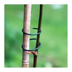 Plantenringen - Set Van 100 Stuks