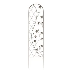 Plantensteun Ying En Yang Bruin 35 × 150 Cm