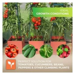 Plantentoren Maxitom Met Waterreservoir - Terracotta 10 Plantentoren Maxitom Met Waterreservoir - Terracotta -Perfecte Tuin plantentoren maxitom terracotta 1677568602 1 600