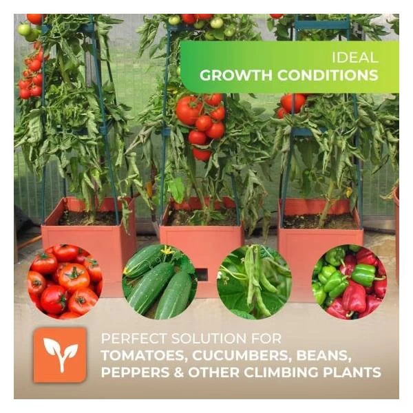 Plantentoren Maxitom Met Waterreservoir - Terracotta 5 Plantentoren Maxitom Met Waterreservoir - Terracotta - Afbeelding 5