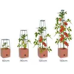 Plantentoren Maxitom Met Waterreservoir - Terracotta 11 Plantentoren Maxitom Met Waterreservoir - Terracotta -Perfecte Tuin plantentoren maxitom terracotta 1680165024 1 600