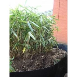 Rootblock Professionele Wortelwering 60 Cm Hoog - / Strekkende Meter -Perfecte Tuin rootblock professionele wortelwering 1552733360 5 600