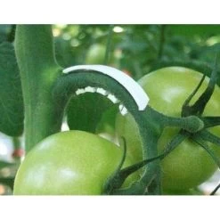 Tomaten Trossteun Wit - Set Van 100 Stuks -Perfecte Tuin tomatentrossteunen 1484056718 3 600