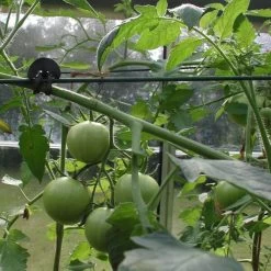 Tree-fix Boombinder 8 Cm - Set Van 50 Stuks -Perfecte Tuin treefix boombinder 8 cm 1547125995 3 600