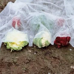 Vliesdoek - 10 × 2 Meter - 30 G/m²