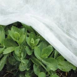 Vliesdoek - 5 × 1,6 Meter - 17 G/m²